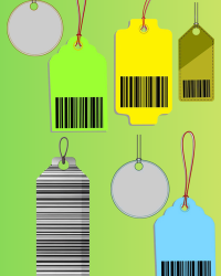 Untitled design (19)